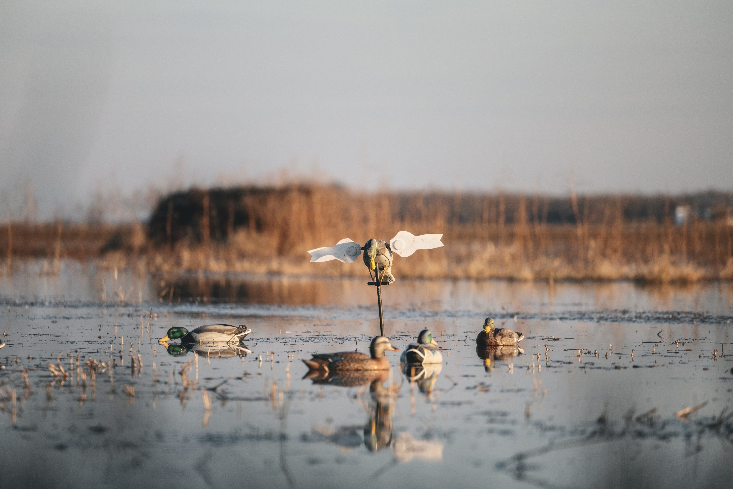 2W Outfitters Duck Hunting