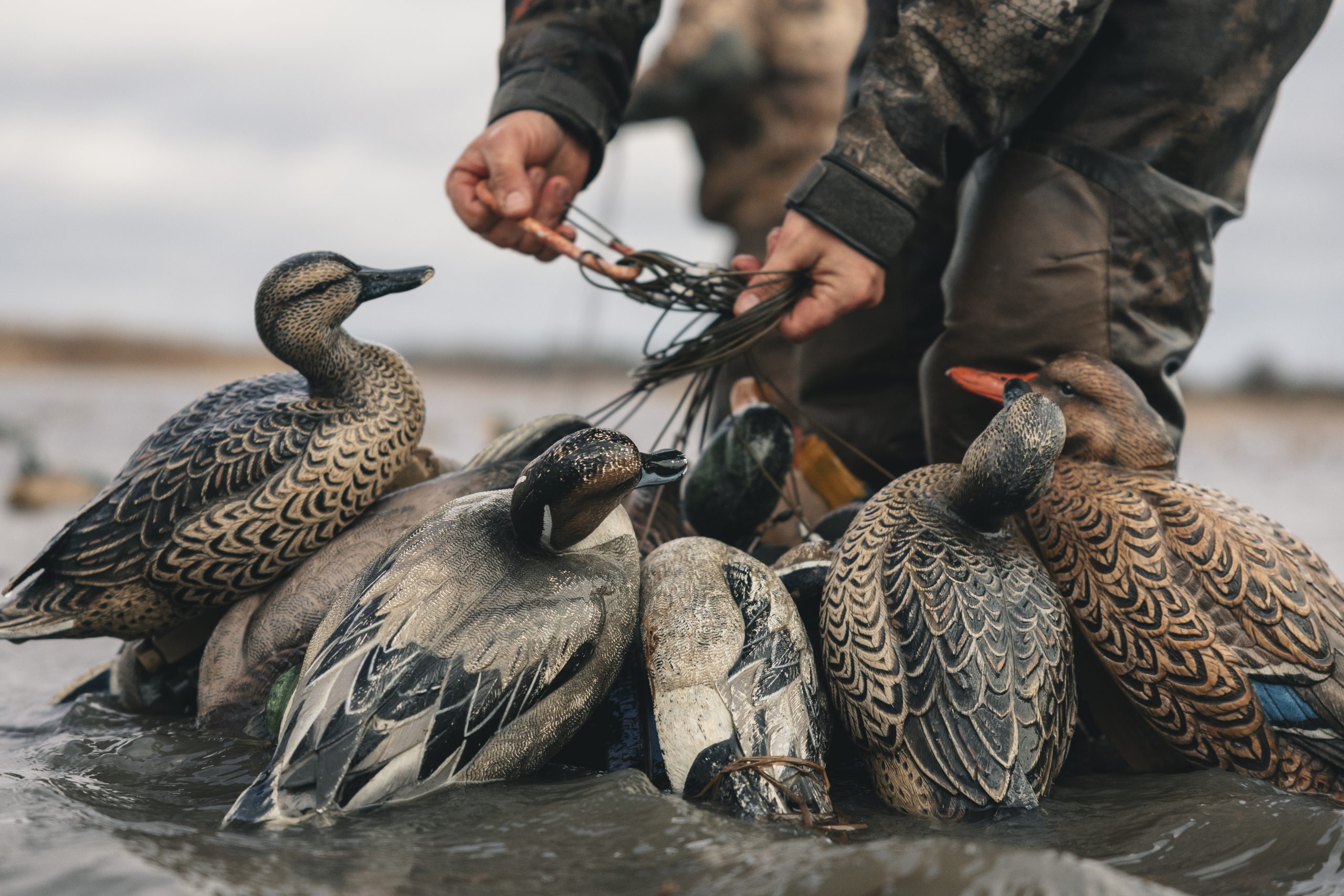 2W Outfitters ducks